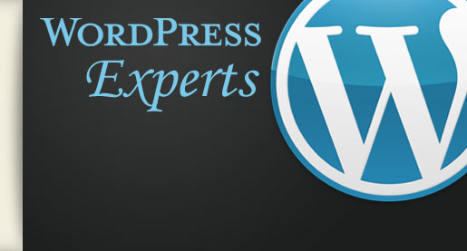 Durham Web Design Wordpress Experts
