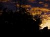 night