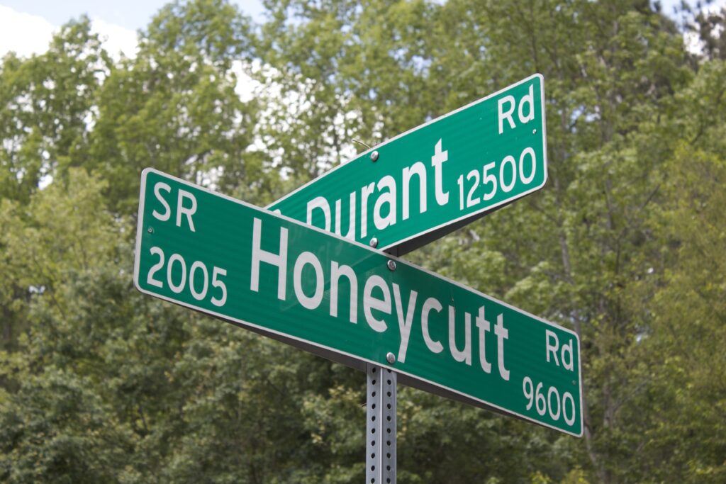 Raleigh Web Design